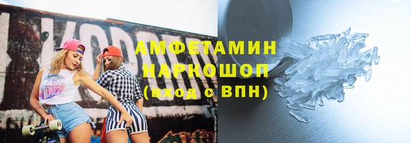 прущие грибы Новокубанск
