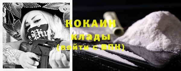 трава Новодвинск