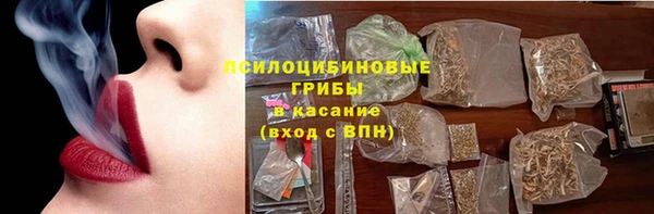 прущие грибы Новокубанск