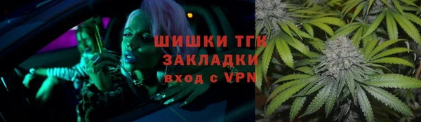 прущие грибы Новокубанск