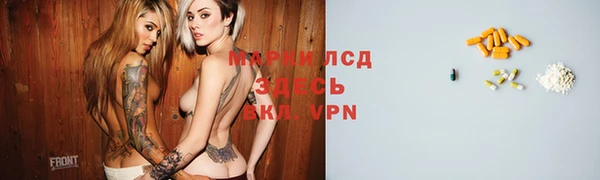 трава Новодвинск