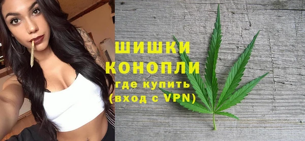 прущие грибы Новокубанск