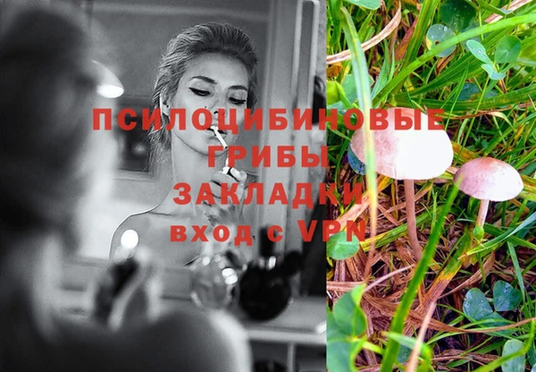 прущие грибы Новокубанск