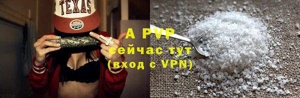 прущие грибы Новокубанск